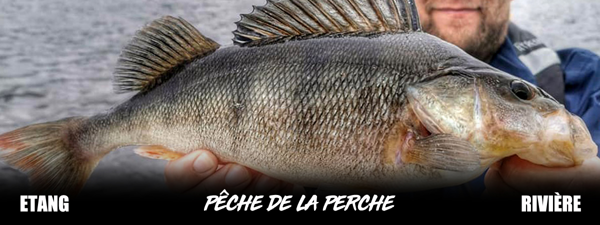 Leurre Dur Flottant à Palette - Pêche Surface pour Perche, Brochet et Bass  – Pêche en ligne