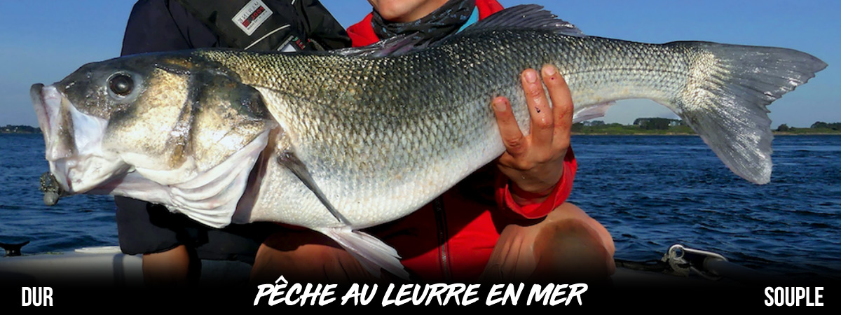 Top 10 Des Accessoires Pour Aller à La Pêche Au Silure - Blog Leurre De La  Pêche