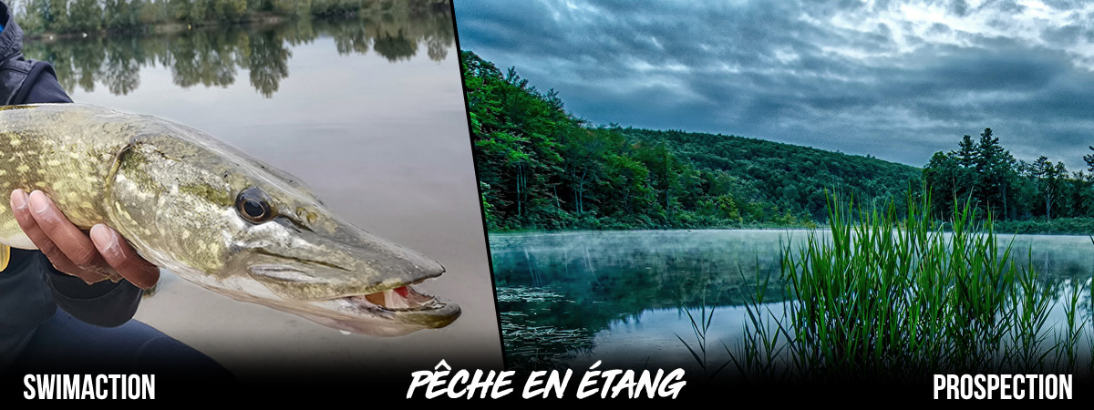 Pêcher en étang: comment bien pêcher au leurre ? Techniques de pêche
